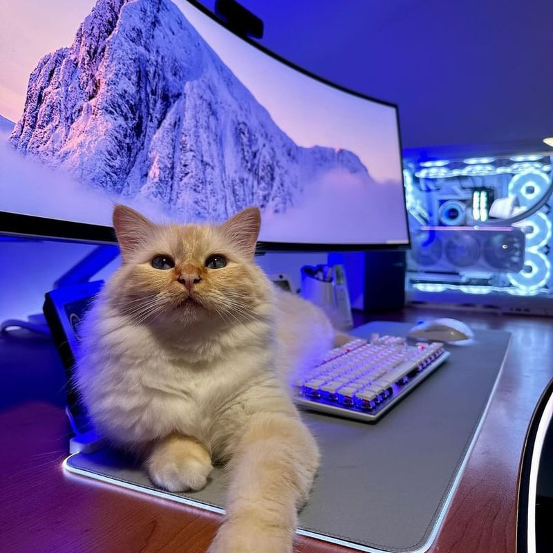 Episode 038 - Mastering Productivity and Precision with a High-Tech Home Office in Frankfurt - Hexcal