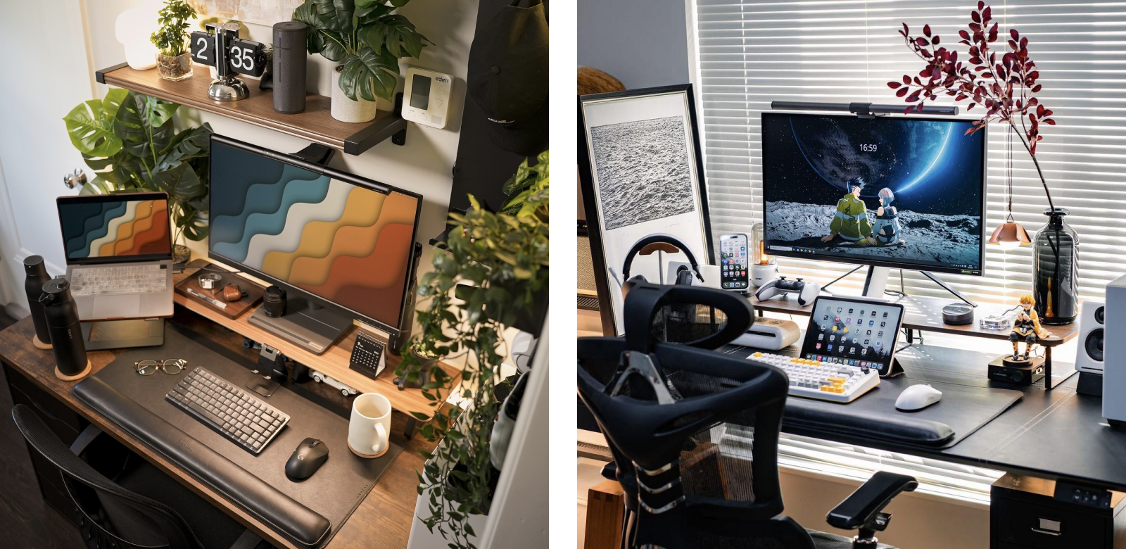 Bring Life to Your Workspace with Desk Plants